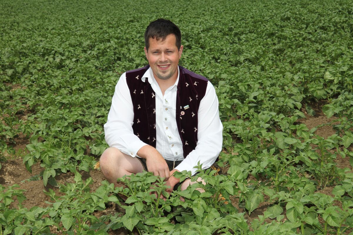 Hirschvogel Georg Kartoffeln Zwiebeln