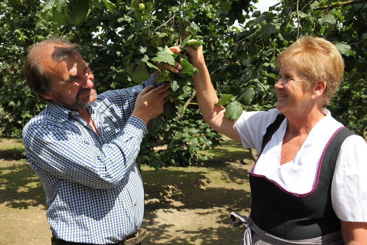 haselnuesse Hartl Waltraud Peter