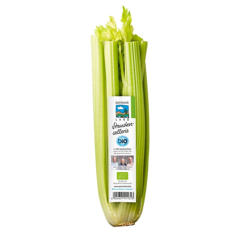 Bio Staudensellerie