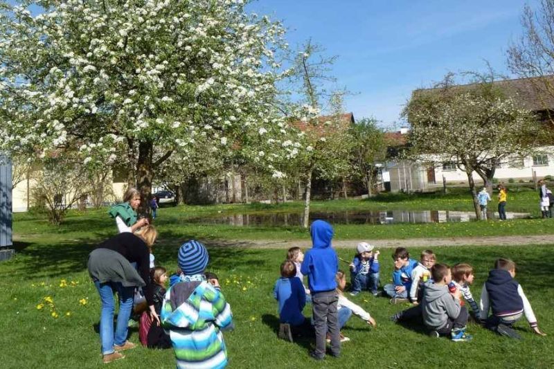 Schule auf der Streuobstwiese und beim Imker