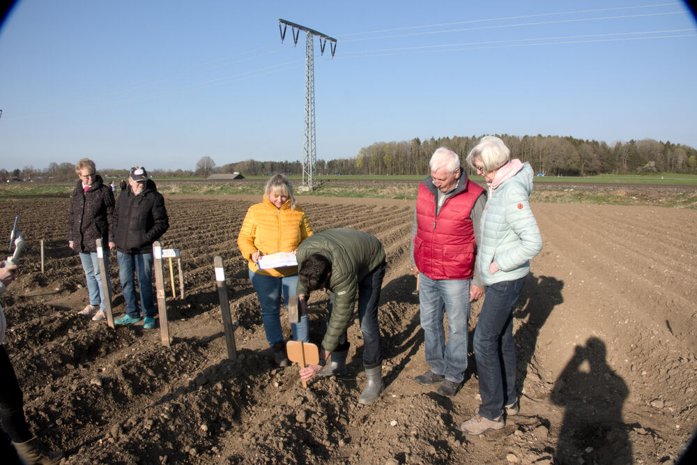 Verteilung der Bifänge