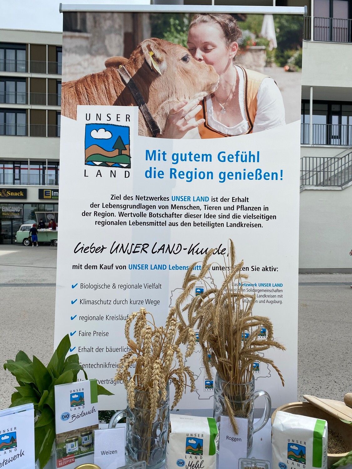 IMG 4663