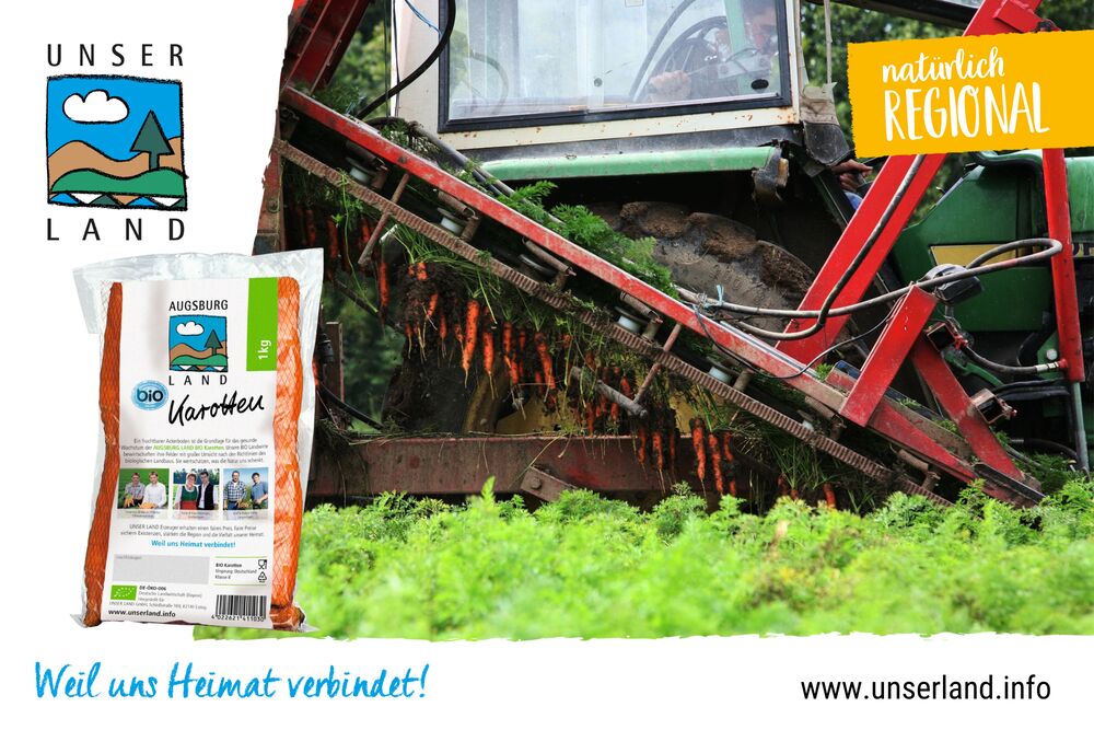 Erntedank Karotte03 29 09 2023