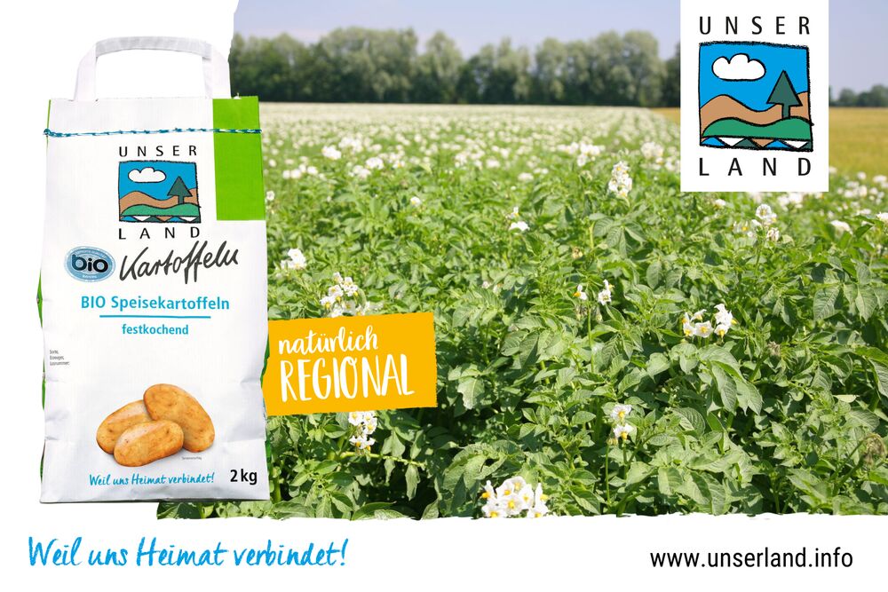 Erntedank Kartoffel03 29 09 2023