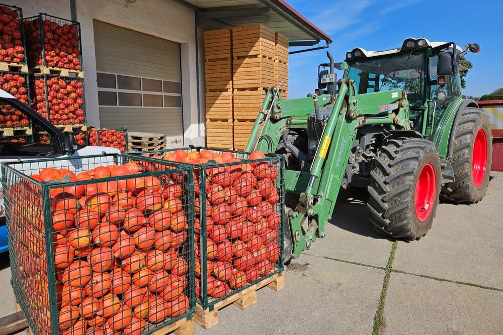 Erntedank Krbis01 29 09 2023
